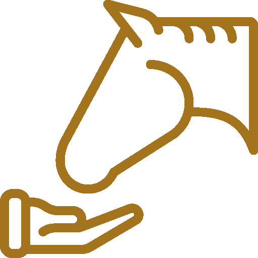 offre cavaliers ML Horse Connect