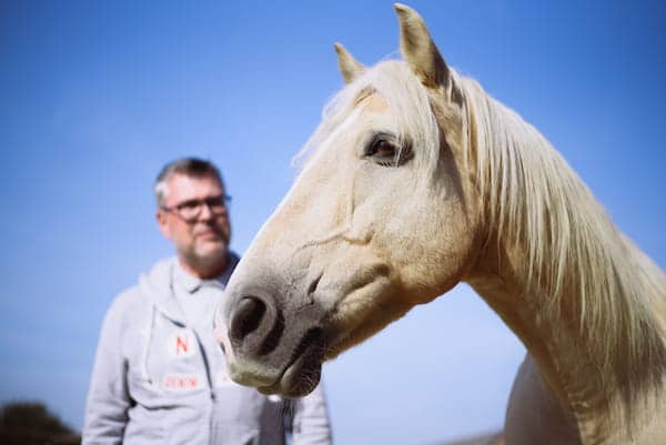 Expérience ML Horse Connect Amiens