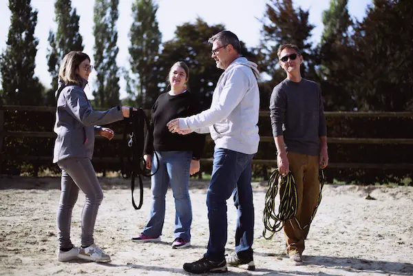 cohésion équipe équicoaching ML Horse Connect