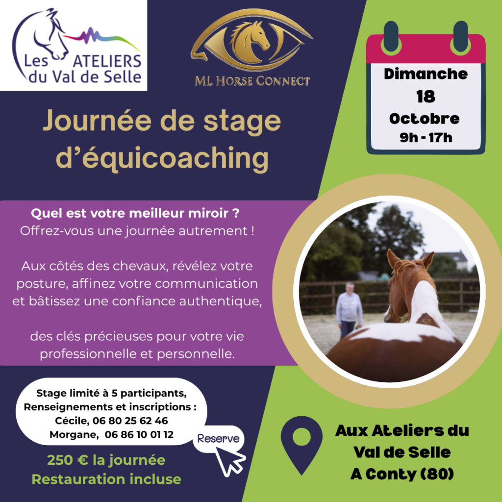 journee de stage equicoaching conty